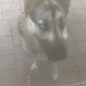 Meet your Posher, Madison